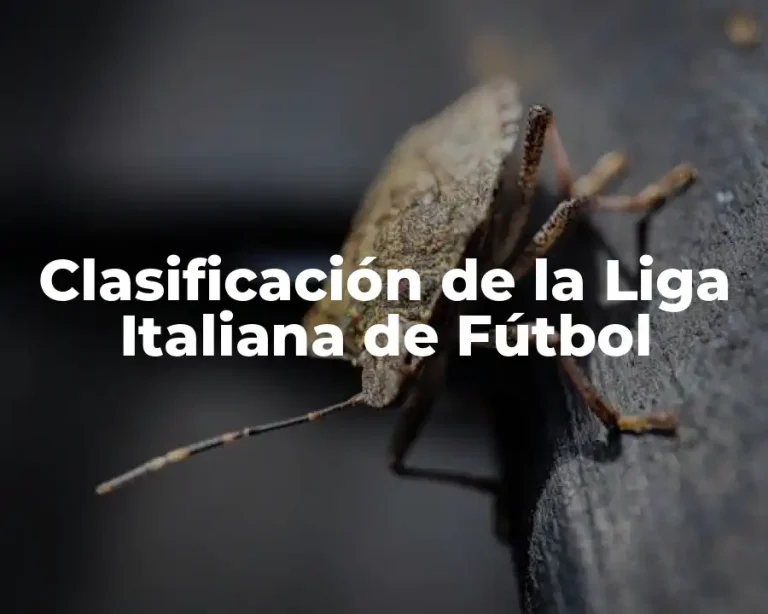 Clasificación de la Liga Italiana de Fútbol