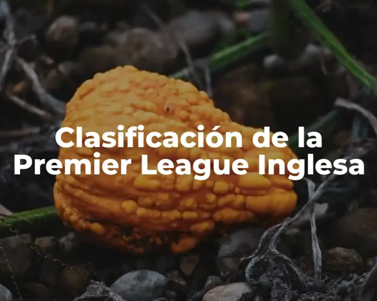 Clasificación de la Premier League Inglesa