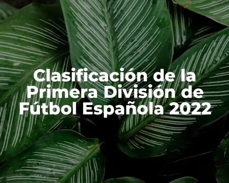 Clasificación de la Primera División de Fútbol Española 2022