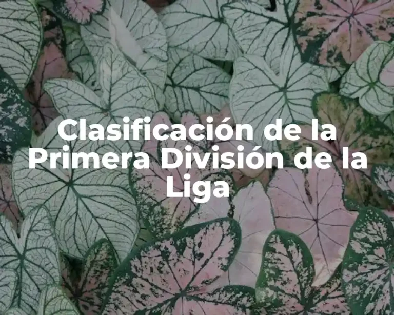 Clasificación de la Primera División de la Liga