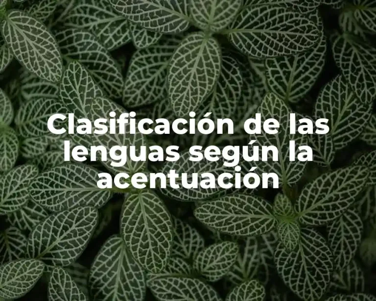 Clasificación de las lenguas según la acentuación
