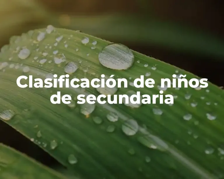 Clasificación de niños de secundaria