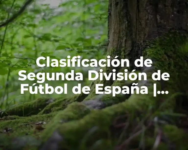 Clasificación de Segunda División de Fútbol de España | Últimas Noticias y Posiciones