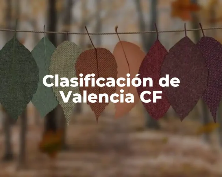 Clasificación de Valencia CF