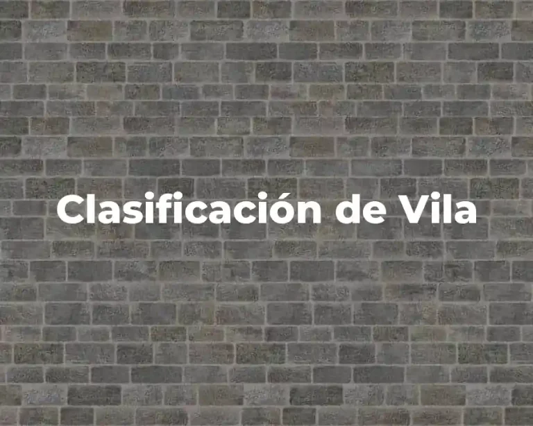 Clasificación de Vila