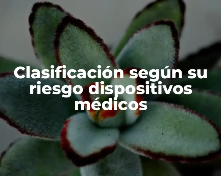 Clasificación según su riesgo dispositivos médicos