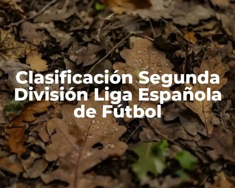 Clasificación Segunda División Liga Española de Fútbol