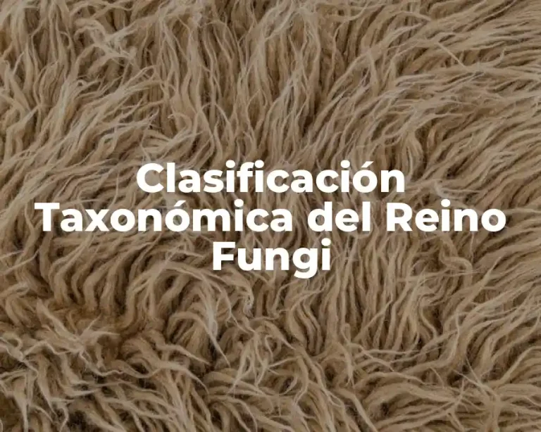 Clasificación Taxonómica del Reino Fungi