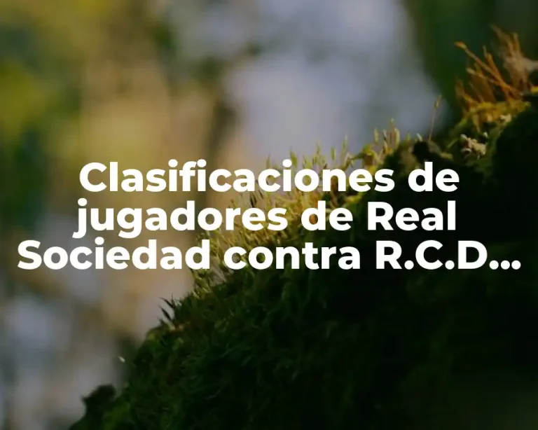 Clasificaciones de jugadores de Real Sociedad contra R.C.D. Mallorca