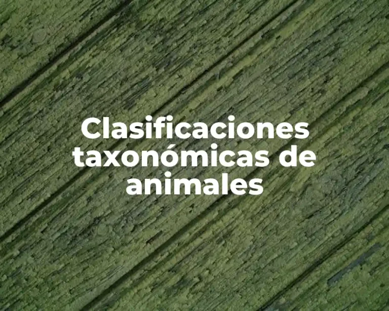 Clasificaciones taxonómicas de animales
