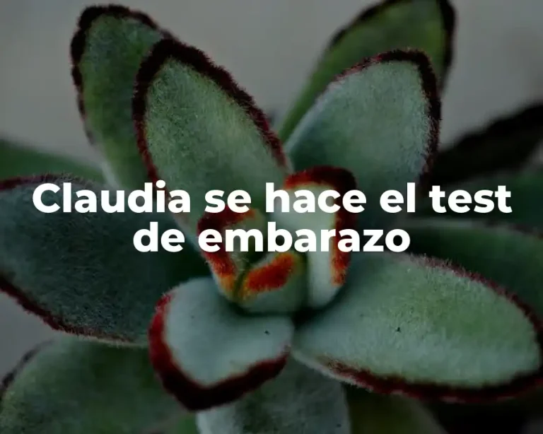 Claudia se hace el test de embarazo