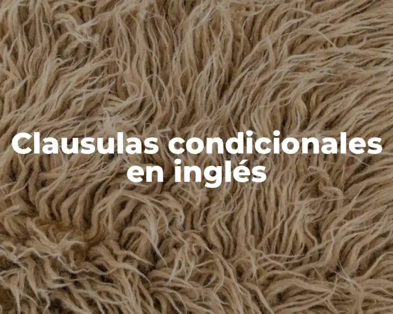 Clausulas condicionales en inglés