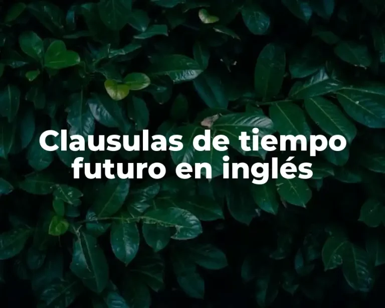 Clausulas de tiempo futuro en inglés