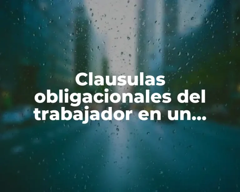 Clausulas obligacionales del trabajador en un restaurante