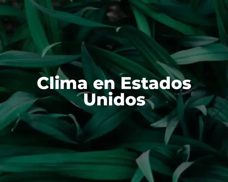 Clima en Estados Unidos