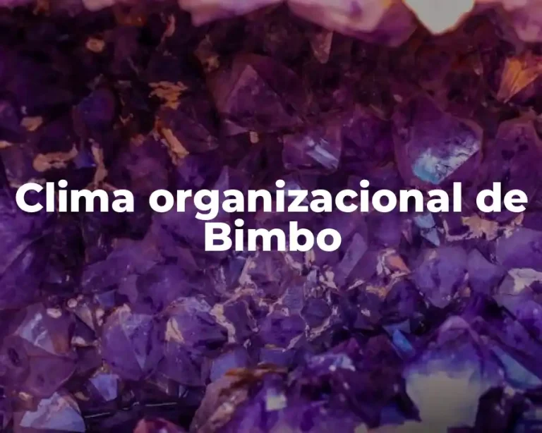 Clima organizacional de Bimbo