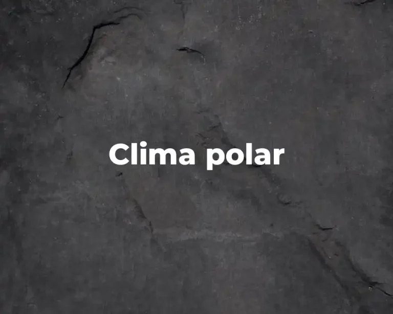 Clima polar