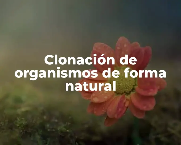 Clonación de organismos de forma natural