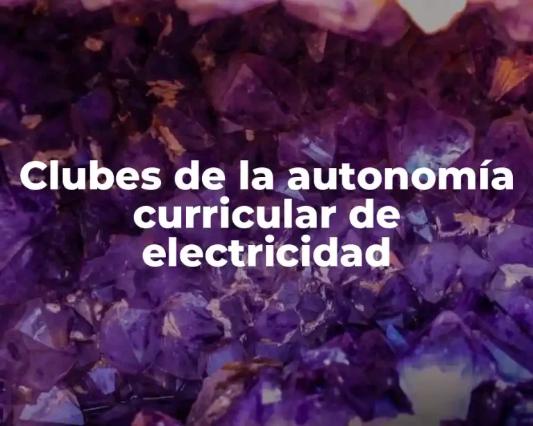 Clubes de la autonomía curricular de electricidad