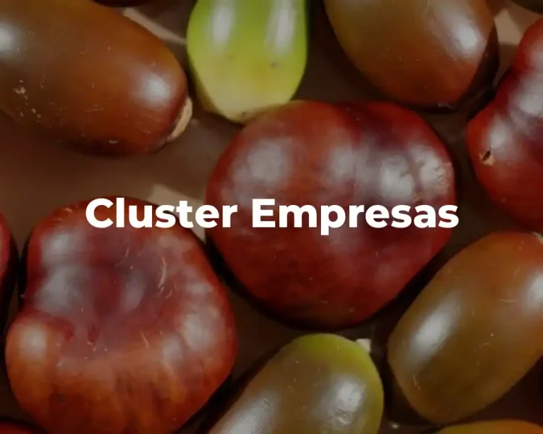 Cluster Empresas