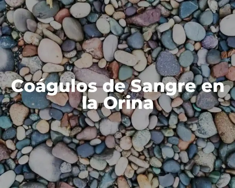 Coágulos de Sangre en la Orina
