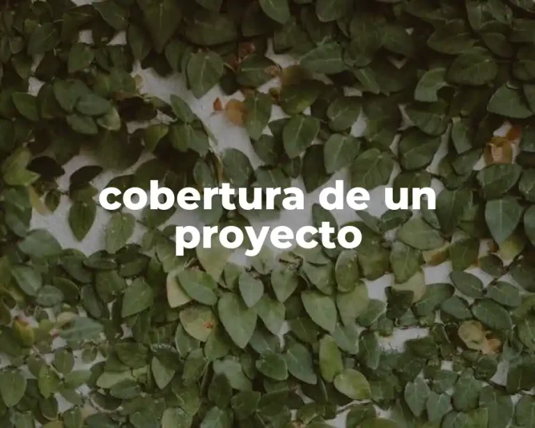 cobertura de un proyecto