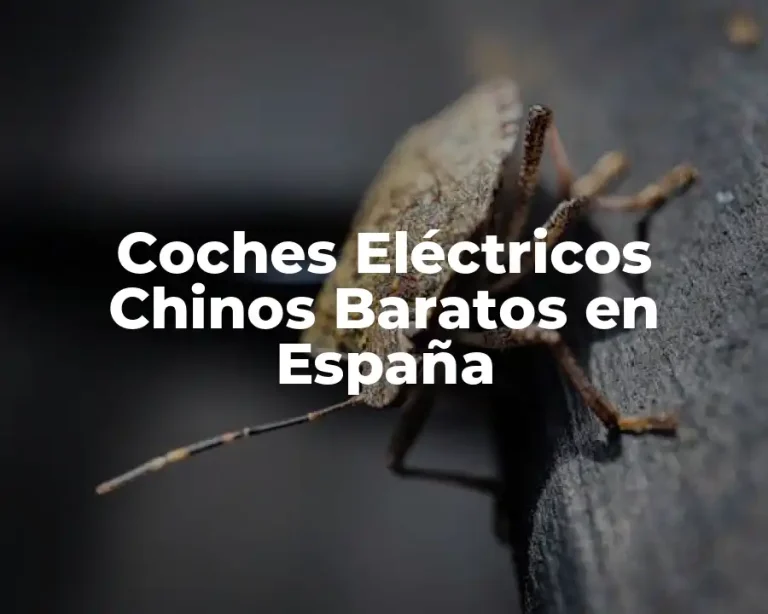 Coches Eléctricos Chinos Baratos en España