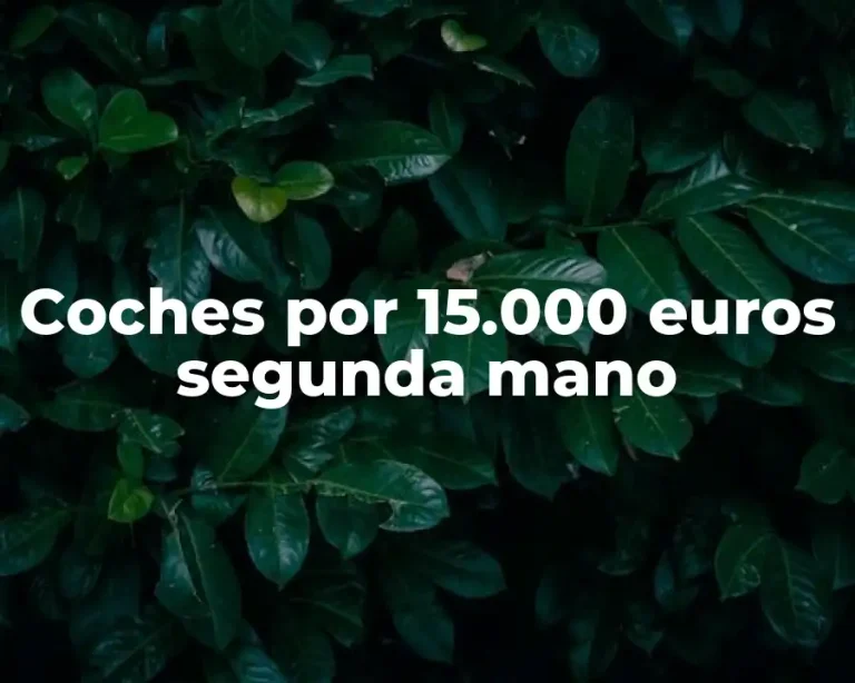 Coches por 15.000 euros segunda mano