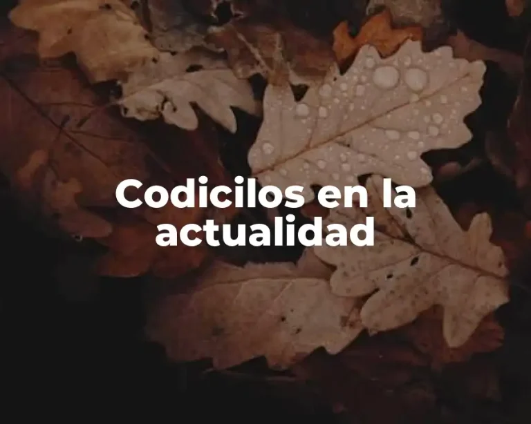 Codicilos en la actualidad