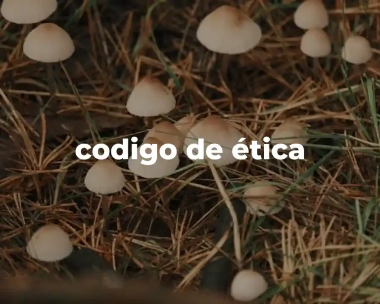 codigo de ética