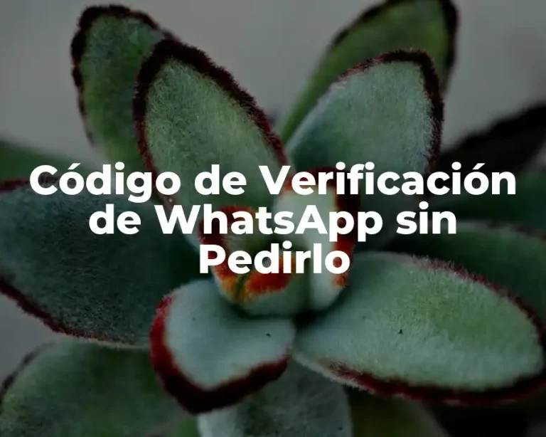 Código de Verificación de WhatsApp sin Pedirlo