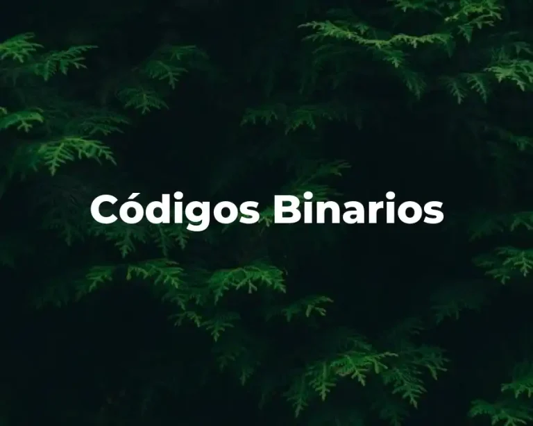 Códigos Binarios