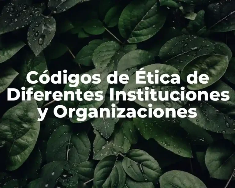 Códigos de Ética de Diferentes Instituciones y Organizaciones