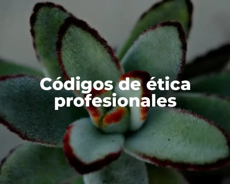 Códigos de ética profesionales