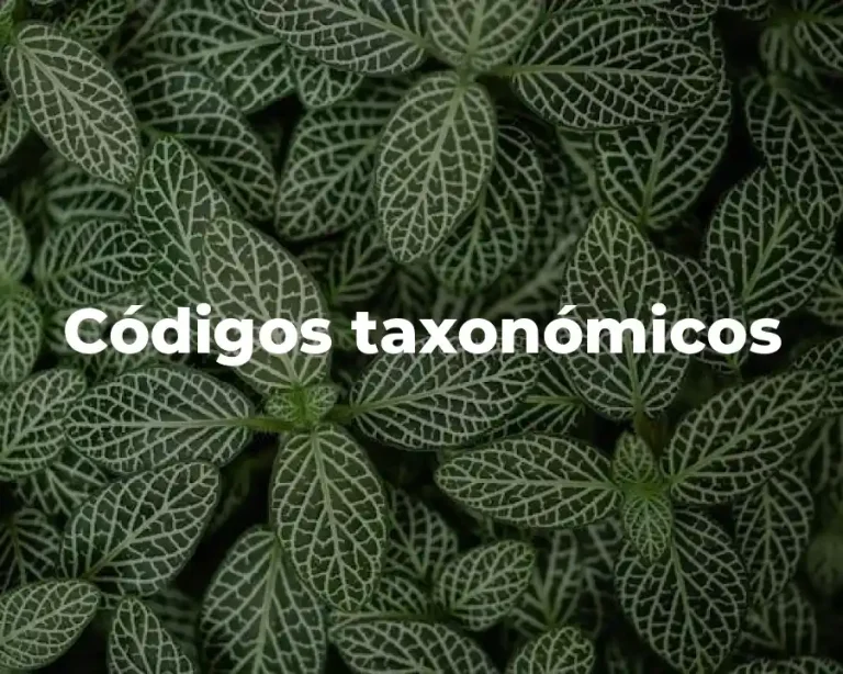 Códigos taxonómicos