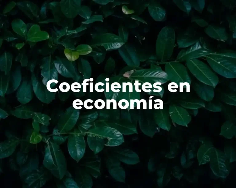 Coeficientes en economía