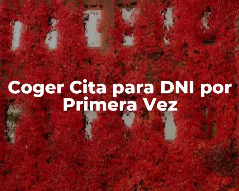 Coger Cita para DNI por Primera Vez