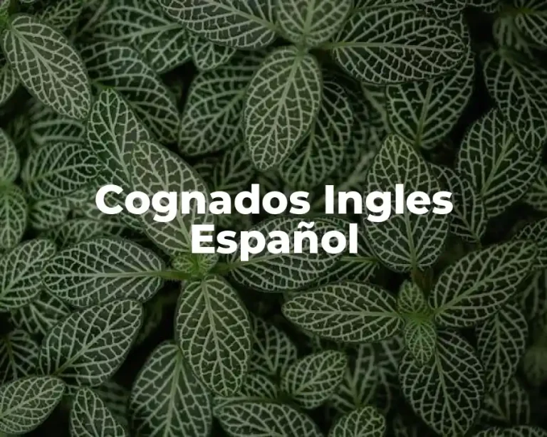 Cognados Ingles Español