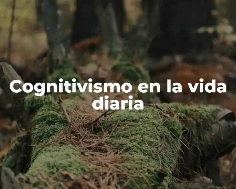 Cognitivismo en la vida diaria