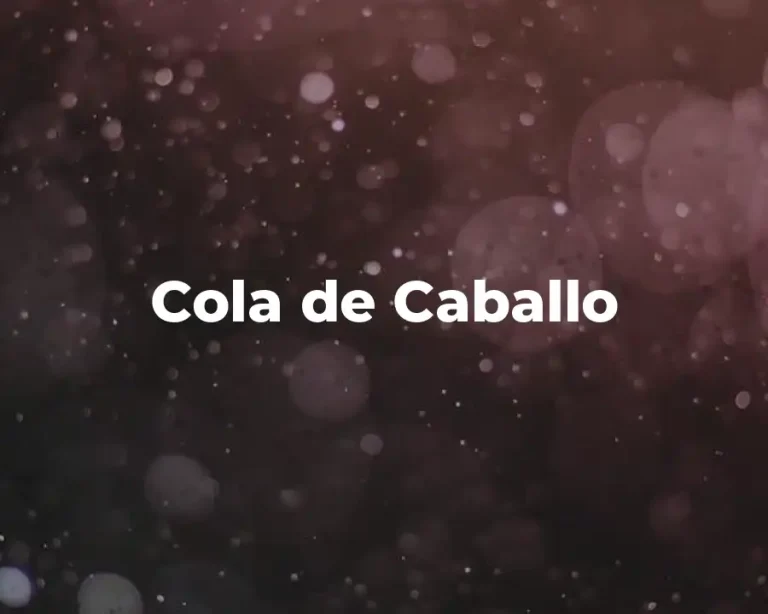 Cola de Caballo