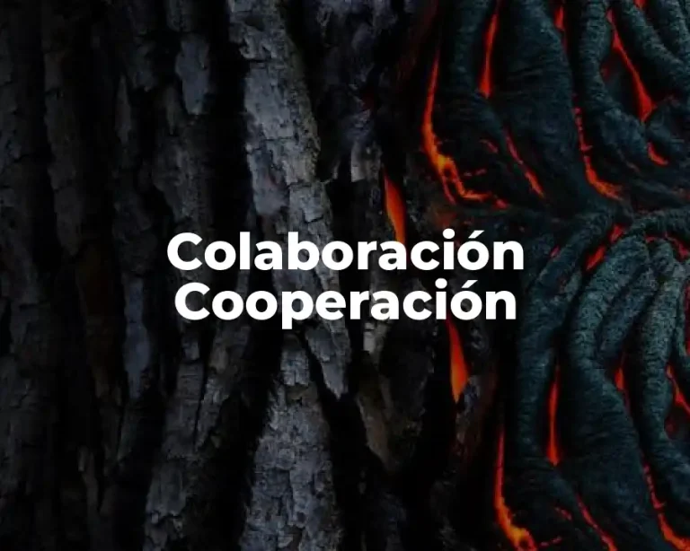 Colaboración Cooperación