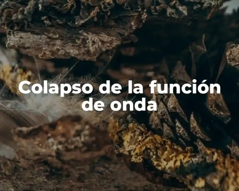 Colapso de la función de onda