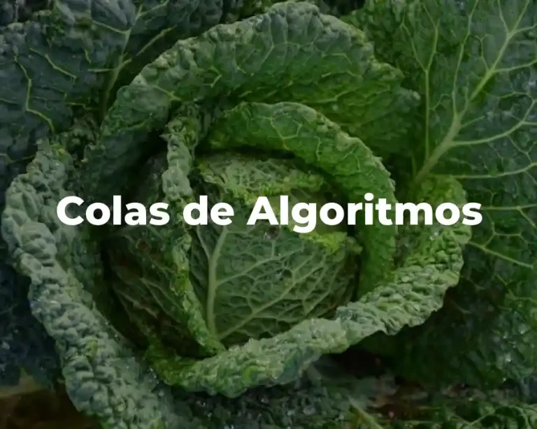 Colas de Algoritmos
