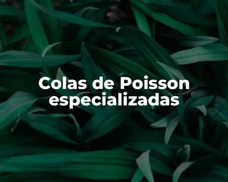 Colas de Poisson especializadas