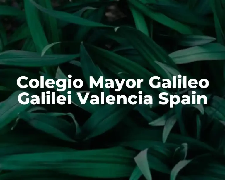 Colegio Mayor Galileo Galilei Valencia Spain