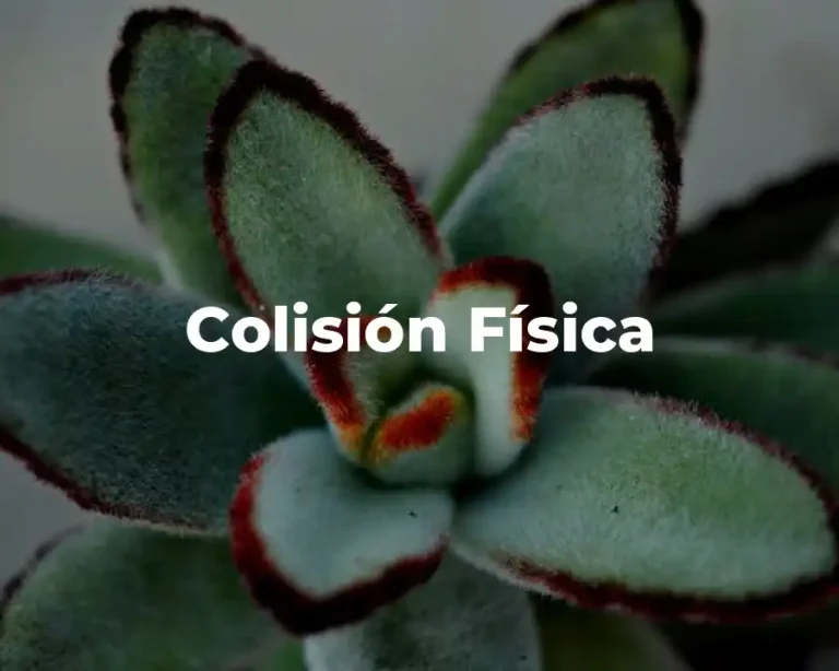 Colisión Física