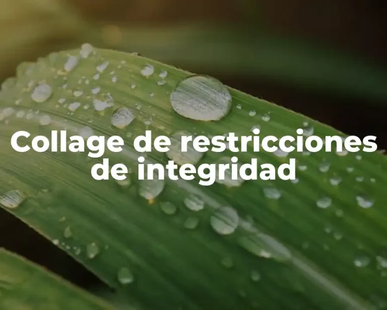 Collage de restricciones de integridad
