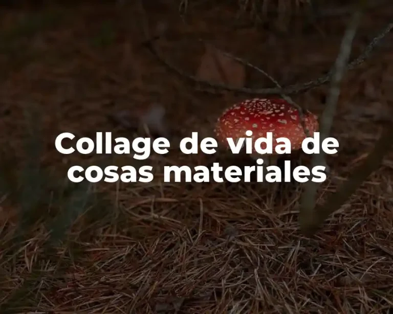 Collage de vida de cosas materiales