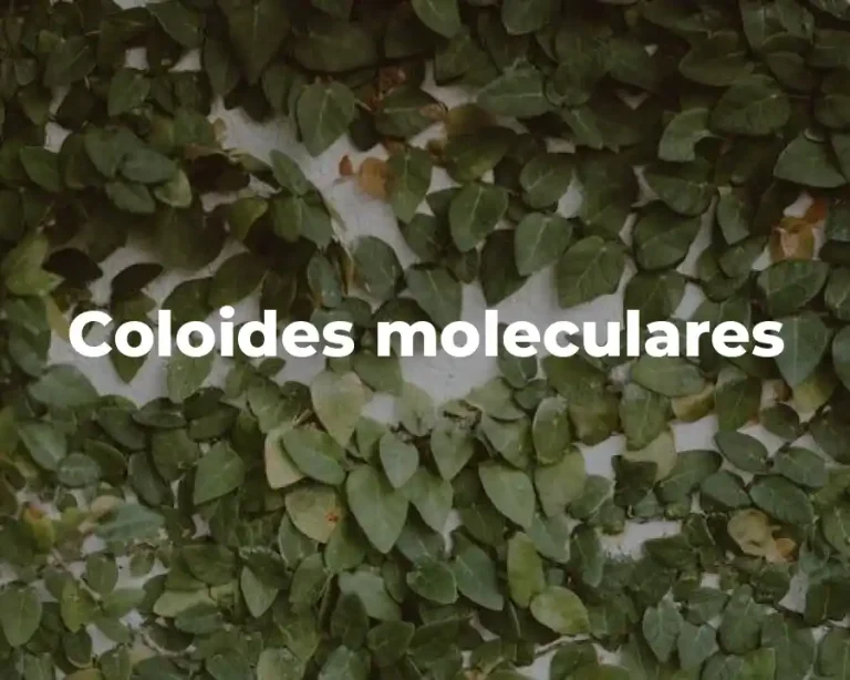 Coloides moleculares