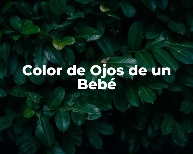 Color de Ojos de un Bebé